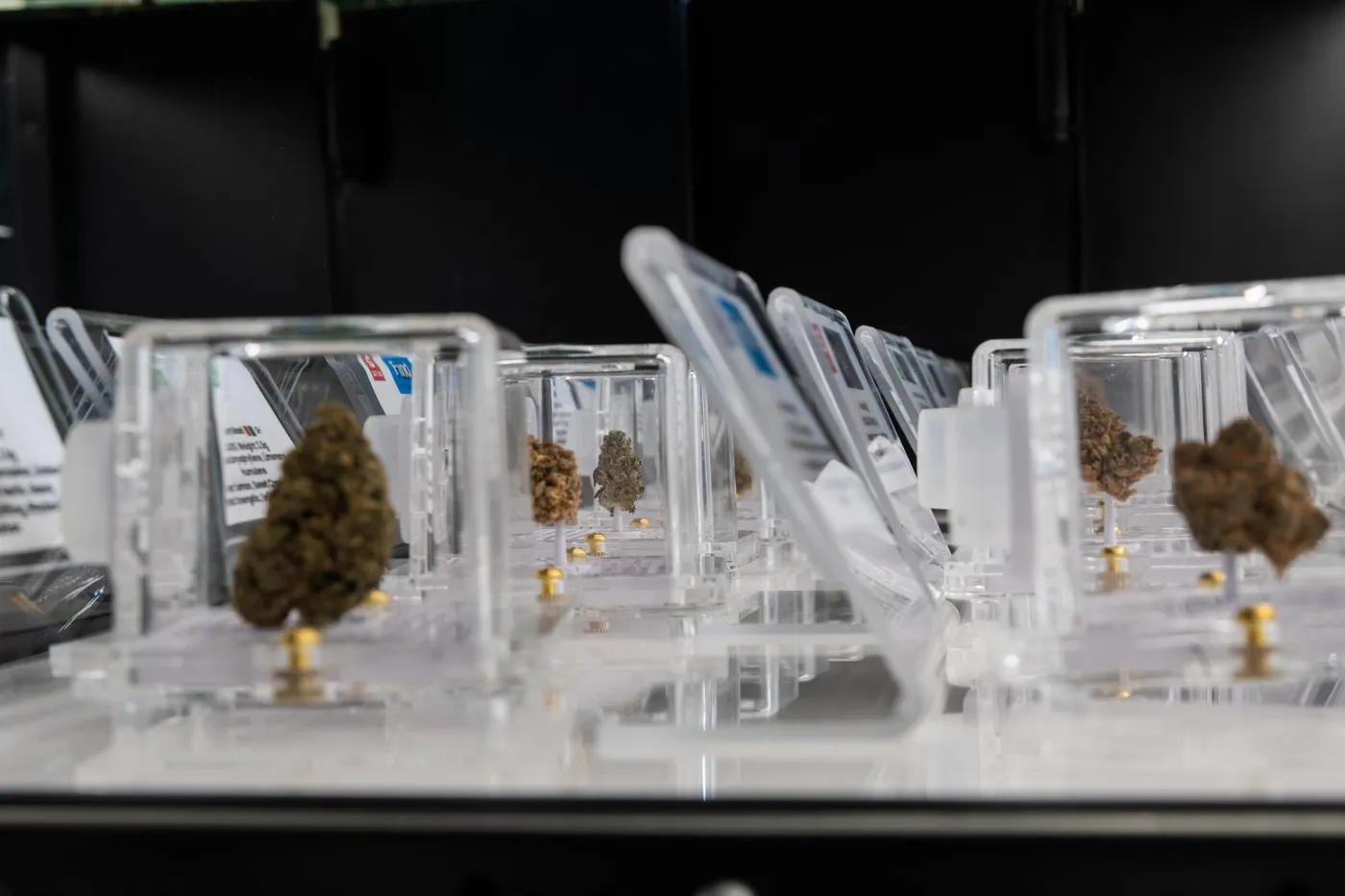 Flower on display in clear cases, each with its label.