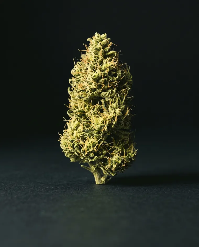 Sativa cannabis flower